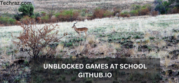 unblocked games at school github.io